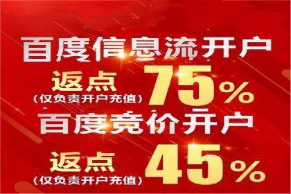 高效SEM托管服务：成功案例深度解析